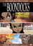 The Boondocks  poster